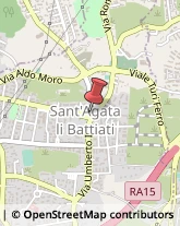 Parafarmacie Sant'Agata li Battiati,95030Catania