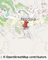 Piante e Fiori - Dettaglio Nicosia,94100Enna