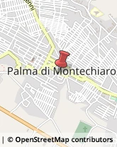 Cooperative Produzione, Lavoro e Servizi Palma di Montechiaro,92020Agrigento