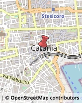 Pesce - Lavorazione e Commercio Catania,95121Catania