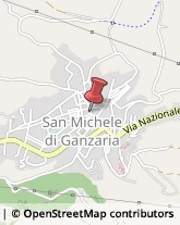 Piante e Fiori - Dettaglio San Michele di Ganzaria,95040Catania