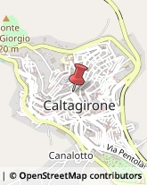 Piante e Fiori - Dettaglio Caltagirone,95041Catania