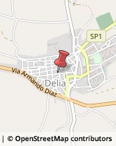 Aziende Agricole Delia,93010Caltanissetta