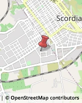 Assicurazioni Scordia,95048Catania