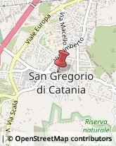 Supermercati e Grandi magazzini San Gregorio di Catania,95027Catania