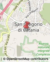 Articoli da Regalo - Dettaglio San Gregorio di Catania,95027Catania