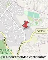 Consulenza di Direzione ed Organizzazione Aziendale Mascalucia,95030Catania