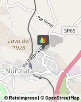 Pubblicità - Consulenza e Servizi,95016Catania