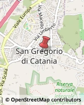 Falegnami San Gregorio di Catania,95027Catania