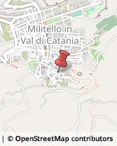 Aziende Agricole Militello in Val di Catania,95043Catania