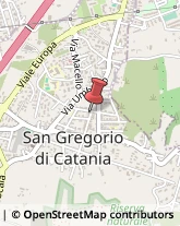 Grassi Uso Alimentare San Gregorio di Catania,95027Catania