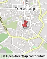 Feste - Organizzazione e Servizi Trecastagni,95039Catania