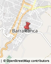 Piante e Fiori - Dettaglio Barrafranca,94012Enna