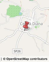 Provincia e Servizi Provinciali Cefalà Diana,90030Palermo