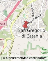 Abiti da Sposa e Cerimonia San Gregorio di Catania,95027Catania