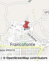 Piante e Fiori - Dettaglio Francofonte,96015Siracusa