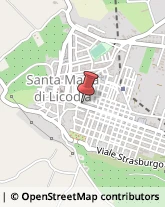 Studi Consulenza - Amministrativa, Fiscale e Tributaria Santa Maria di Licodia,95038Catania