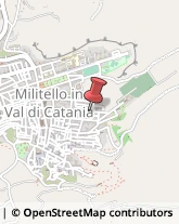 Bestiame - Allevamento e Commercio Militello in Val di Catania,95043Catania