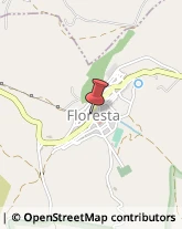 Autotrasporti Floresta,98030Messina