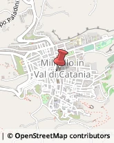 Cooperative Produzione, Lavoro e Servizi Militello in Val di Catania,95043Catania