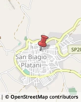 Piante e Fiori - Dettaglio San Biagio Platani,92020Agrigento