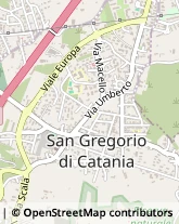 Scuole Pubbliche San Gregorio di Catania,95027Catania