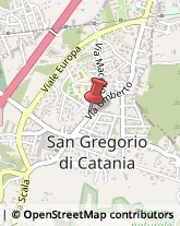 Scuole Pubbliche San Gregorio di Catania,95027Catania