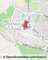 Fotografia - Studi e Laboratori Santa Maria di Licodia,95038Catania