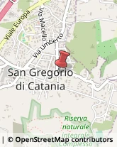 Protezione Civile - Servizi San Gregorio di Catania,95027Catania