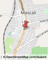 Assicurazioni Mascali,95016Catania