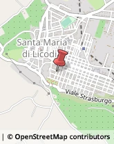 Strumenti Scientifici per Laboratori Santa Maria di Licodia,95038Catania