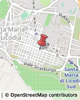 Associazioni Sindacali Santa Maria di Licodia,95038Catania