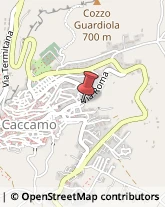 Assicurazioni Caccamo,90012Palermo