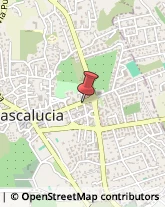 Prodotti Pulizia Mascalucia,95030Catania