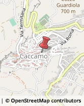 Articoli per Ortopedia Caccamo,90012Palermo