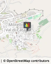 Animali Domestici - Toeletta Militello in Val di Catania,95043Catania