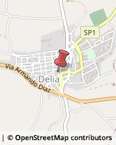 Istituti di Bellezza Delia,93010Caltanissetta