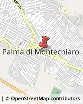 Comuni e Servizi Comunali Palma di Montechiaro,92020Agrigento