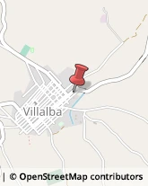 Piante e Fiori - Dettaglio Villalba,93010Caltanissetta