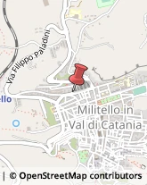 Ortofrutticoltura Militello in Val di Catania,95043Catania