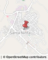 Assicurazioni Santa Ninfa,91029Trapani