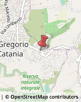 Pizzerie San Gregorio di Catania,95027Catania