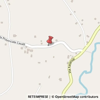 Mappa Via dei Cavalli, 4, 02032 Fara in Sabina, Rieti (Lazio)