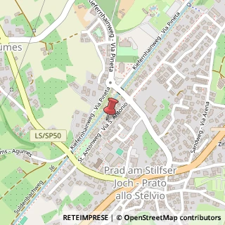 Mappa Via San Antonio, 5, 39026 Prato allo Stelvio, Bolzano (Trentino-Alto Adige)
