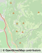 Biciclette - Dettaglio e Riparazione Rifiano,39010Bolzano