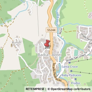 Mappa Strada Runcac, 1, 39036 Badia, Bolzano (Trentino-Alto Adige)