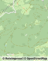 Autofficine e Centri Assistenza Chiusa,39043Bolzano