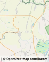 Stazioni di Servizio e Distribuzione Carburanti Comacchio,44022Ferrara