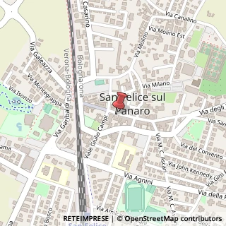 Mappa Via Giuseppe Mazzini, 16, 41038 San Felice sul Panaro, Modena (Emilia Romagna)