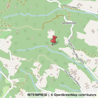 Mappa Strada Cesani Marciottina, 11, 10060 Bricherasio, Torino (Piemonte)